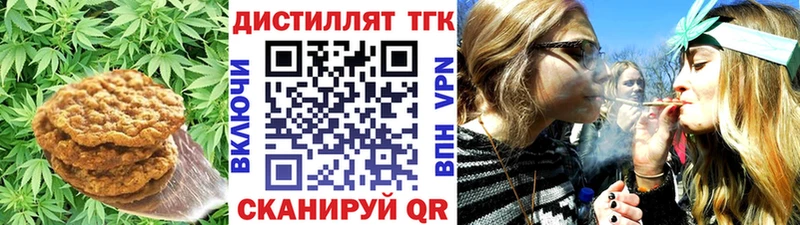 где купить наркотик  Кудрово  Еда ТГК марихуана 