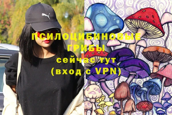 первитин Армянск