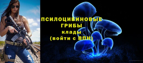 первитин Армянск